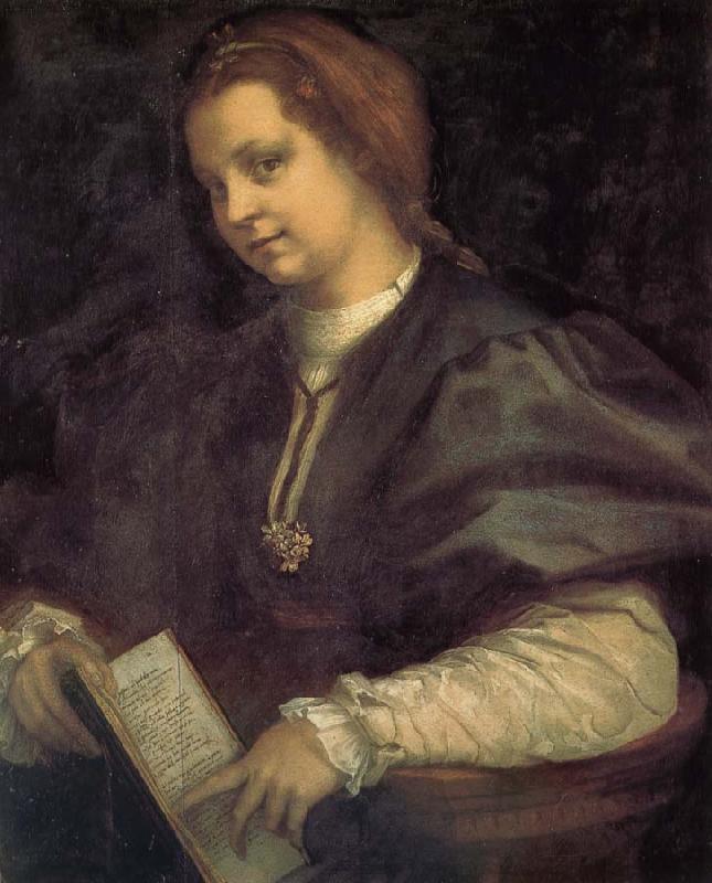 Andrea del Sarto Take the book portrait of woman oil painting image